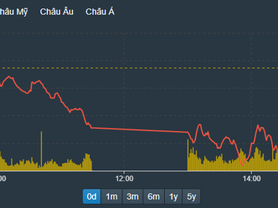 Cổ phiếu chứng khoán, dầu khí sàn cả loạt