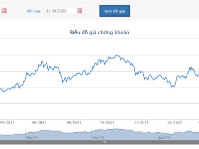 Giá giảm tới 70%, công ty riêng của Chủ tịch Lê Phước Vũ muốn thoái hết 3,6% vốn tại HSG