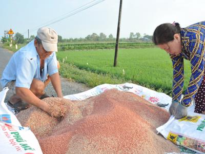 Giá phân bón hạ nhiệt: Doanh nghiệp lại lo tồn kho