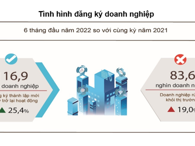 Lần đầu vượt ngưỡng 100 nghìn, số doanh nghiệp gia nhập và hoạt động trở lại 6 tháng đầu năm tăng mạnh