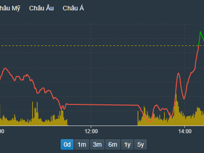 Rầm rập đảo chiều, cổ phiếu chứng khoán trần cả loạt