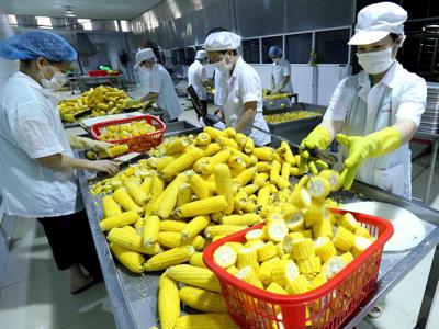Các nước nhập khẩu ngày càng thắt chặt kiểm soát an toàn thực phẩm