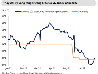 Tăng trưởng EPS 17,5% nhưng VN-Index giảm 20% chứng tỏ chiết khấu rất lớn