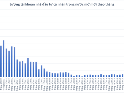 Lượng nhà đầu tư F0 vẫn không ngừng bùng nổ, 466.000 tài khoản mở mới trong tháng 6 
