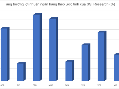 Ngân hàng nào tăng trưởng lợi nhuận cao nhất trong quý 2/2022?