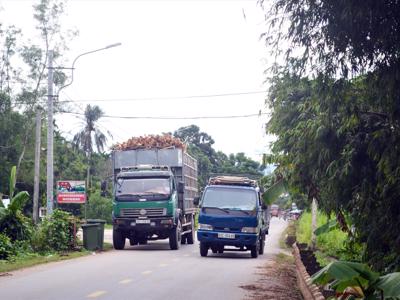 Điểm mới dự thảo Luật Đường bộ: Kinh doanh xe điện 4 bánh chở khách, địa phương đầu tư quốc lộ