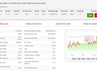 Giá biến động, Phó Chủ tịch không mua 10 triệu cổ phiếu DIG như đăng ký