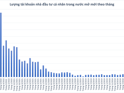 Số tài khoản cá nhân giảm sốc chỉ còn 198.988 mở mới trong tháng 7, giảm gần 60% so với kỷ lục tháng 6