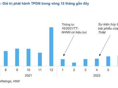 Thấy gì từ 22.000 tỷ đồng trái phiếu phát hành không có tài sản đảm bảo hoặc thế chấp bằng cổ phiếu? 