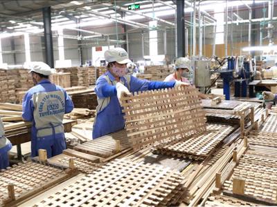 Vì sao ngành gỗ liên tiếp đối mặt với các vụ kiện phòng vệ thương mại?