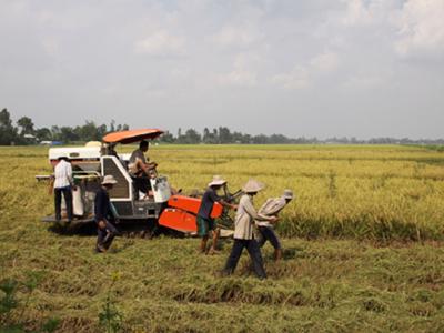 Đối tác công – tư trong nông nghiệp: Vướng mắc cần tháo gỡ 