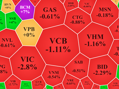 Khởi nghĩa bất thành, VN-Index có phiên giảm mạnh nhất 6 tuần