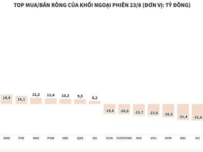 Khối ngoại tiếp tục bán ròng hơn 110 tỷ đồng