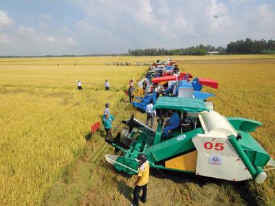 Cơ giới hóa nông nghiệp vẫn gian nan