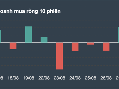 Tự doanh bất ngờ mua ròng mạnh, đâu là cổ phiếu được xuống tiền nhiều nhất?