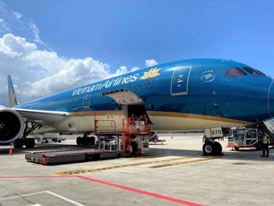 Nguy cơ Vietnam Airlines bị hủy niêm yết trên sàn HoSE rất lớn 