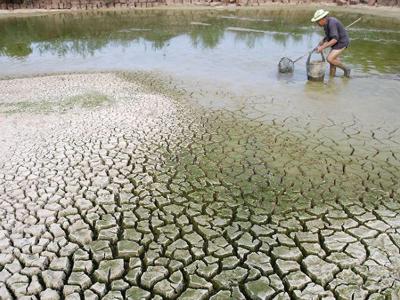 Phát triển kinh tế trong bối cảnh biến đổi khí hậu