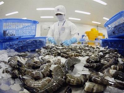 Hoa Kỳ tiếp tục duy trì thuế chống bán phá giá đối với tôm nước ấm nhập khẩu từ Việt Nam