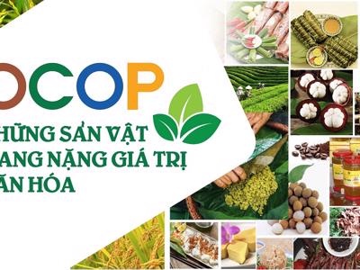 OCOP tạo không gian phát triển kinh tế cho khu vực nông thôn