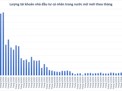 Nhà đầu tư cá nhân đã “chán” chứng khoán, số tài khoản mở mới tiếp tục giảm sốc trong tháng 8