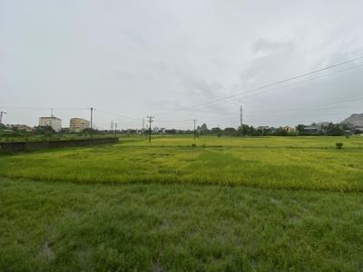 Hủy kết quả 5 gói thầu sơ tuyển dự án có sử dụng đất trên địa bàn thành phố Thanh Hóa