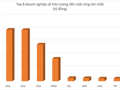 Những doanh nghiệp nào đang sở hữu lượng tiền mặt ròng lớn nhất sàn chứng khoán? 