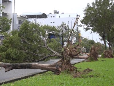 Tin mới nhất về bão Noru (bão số 4): Thiệt hại về tài sản của người dân Đà Nẵng giảm đến mức thấp nhất