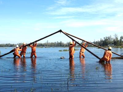 Toàn bộ khách hàng bị ảnh hưởng do bão số 4 (Noru) đã được cấp điện trở lại.