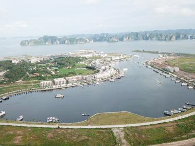 Hạ Long: 27 đồ án quy hoạch chi tiết tại đảo Tuần Châu bị hủy bỏ