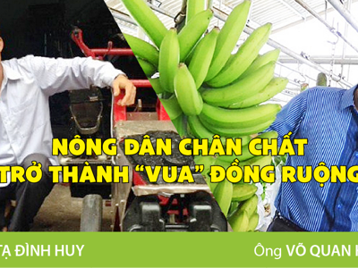 Nông dân chân chất trở thành “Vua” đồng ruộng
