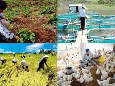 Vượt khó khăn, sản xuất nông nghiệp tiếp tục khả quan