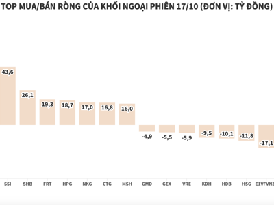 Khối ngoại tung thêm 294 tỷ đồng mua ròng, tập trung gom mạnh VNM