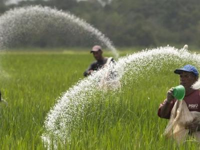 Đỉnh lợi nhuận đã qua, hàng loạt doanh nghiệp phân bón, hóa chất báo lãi giảm mạnh quý 3/2022 