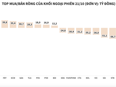 Khối ngoại cũng đua bán ròng trong ngày thị trường đỏ lửa