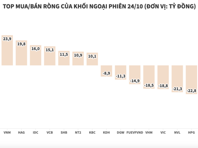 Khối ngoại trở lại gom ròng hơn 108 tỷ đồng trong ngày ngày thị trường lao dốc