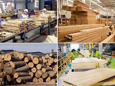 Thúc đẩy chuỗi giá trị gỗ hợp pháp và bền vững tại Việt Nam