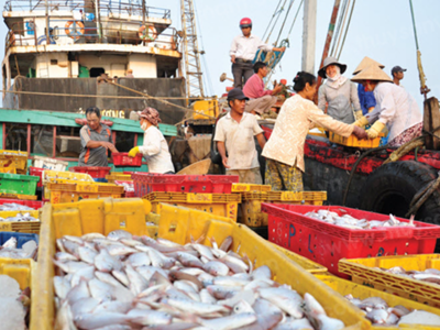 Chưa gỡ được “thẻ vàng”, xuất khẩu hải sản sang EU ngày càng mờ nhạt 