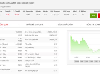 Giá giảm hơn 70%, thêm một lãnh báo bán ra cổ phiếu HSG