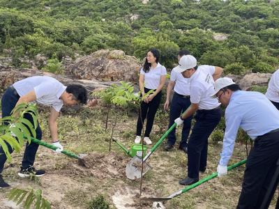 Ninh Thuận hưởng ứng chiến dịch “Trồng 1 tỷ cây xanh - Vì một Việt Nam xanh”