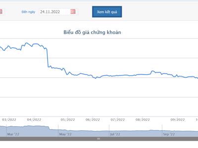 Chứng khoán TVI và Mirae Asset thông báo bán giải chấp hơn 21,45 triệu cổ phiếu của Chủ tịch và tổ chức liên quan đến DPR