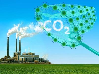 Australia hỗ trợ  3,3 triệu AUD cho 6 dự án carbon bền vững tại Việt Nam