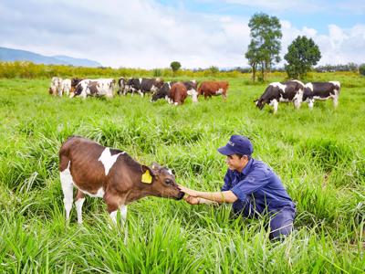 Tận dụng các cơ hội từ biến đổi khí hậu, doanh nghiệp sẽ tiếp nhận được các mô hình kinh tế, tài chính mới