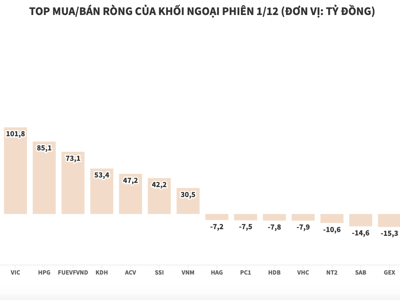 Khối ngoại tiếp tục giải ngân ròng hơn 1.100 tỷ đồng