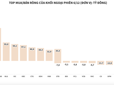 Bất chấp thị trường giảm sâu, khối ngoại mua ròng nhiều cổ phiếu