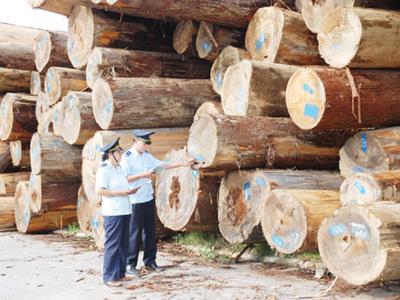 Bất cập hoàn thuế VAT cho ngành gỗ, Bộ Nông nghiệp và Phát triển nông thôn kiến nghị tháo gỡ 