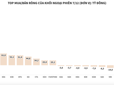 Khối ngoại vẫn kiên trì mua ròng, gom mạnh VIC và VHM