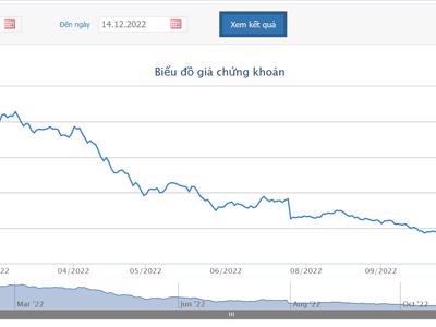 Vi phạm trong tư vấn phát hành trái phiếu doanh nghiệp, VDS bị phạt tiền