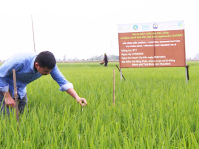 Trồng 1 triệu ha lúa theo quy chuẩn “xanh”, giảm phát thải khí nhà kính