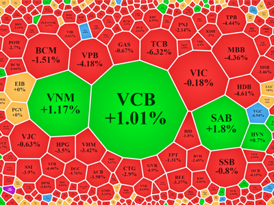 Vốn nội tranh nhau bán tháo, blue-chips lộ giá sàn, VN-Index bốc hơi 22 điểm