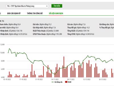 Thị giá dưới mệnh, TIG muốn chào bán 24 triệu cổ phiếu riêng lẻ với giá 10.000 đồng